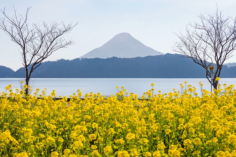 池田湖