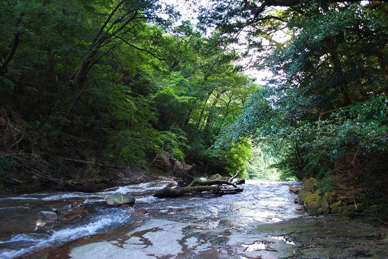 丸尾自然探勝路