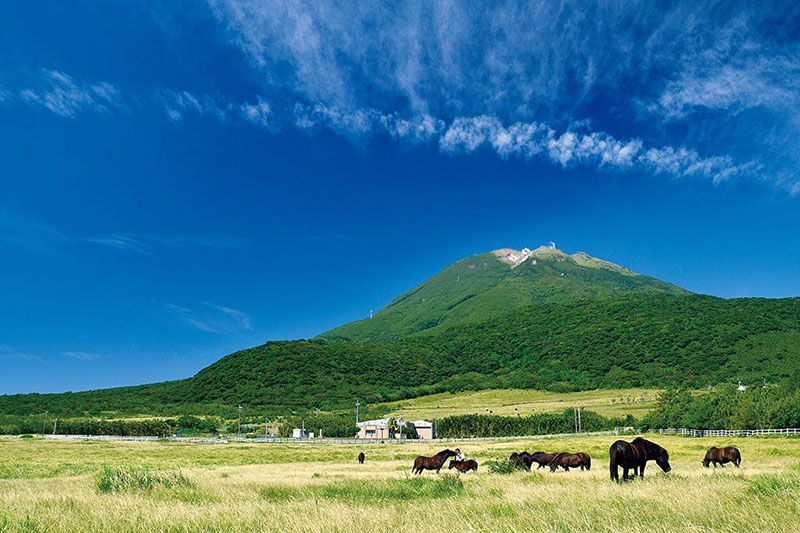 中之島