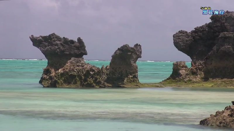黒花海岸