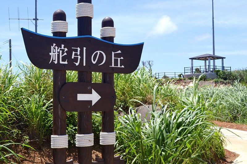 舵引き丘