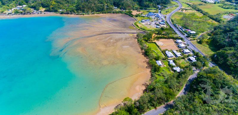 龍郷町屋入