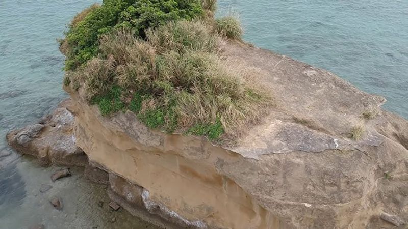 เกาะโทฟุ